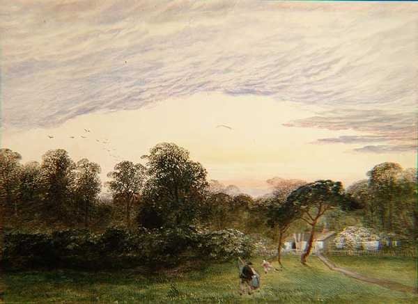 W Bannisters Wood, Southampton autorstwa Charles Frederick Williams