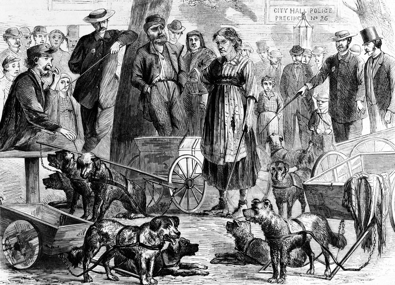 Aresztowani zbieracze szmat w City Hall Park, Nowy Jork, z Harpers Weekly, pub. 1867 autorstwa Charles Green