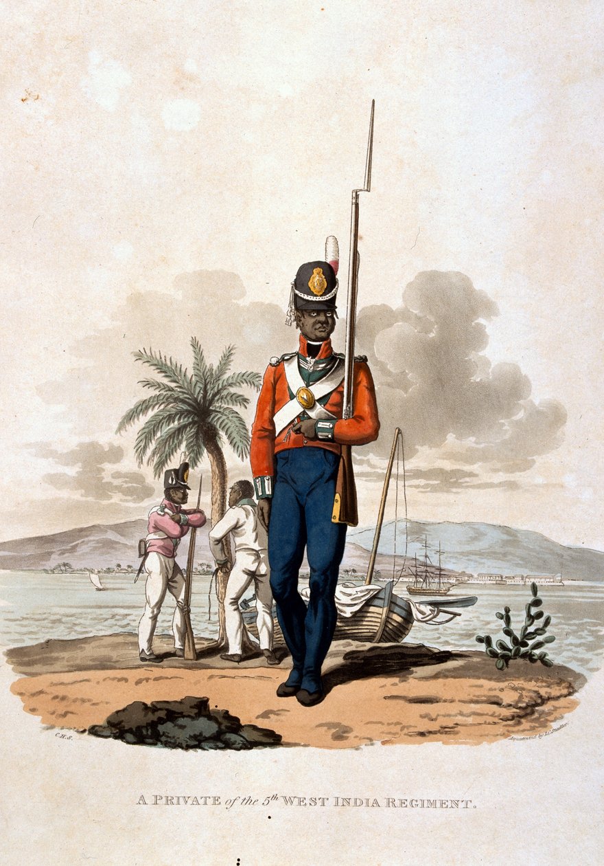 Szeregowiec z 5 Pułku Zachodnioindyjskiego, z „Kostiumy armii Imperium Brytyjskiego, według ostatnich przepisów z 1812 r.”, sztychowane przez J.C. Stadlera, wydane przez Colnaghi und Co. 1812-15 (kolor autorstwa Charles Hamilton Smith