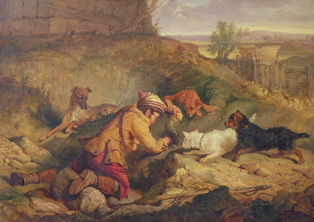 Nieznany obraz autorstwa Charles Hancock