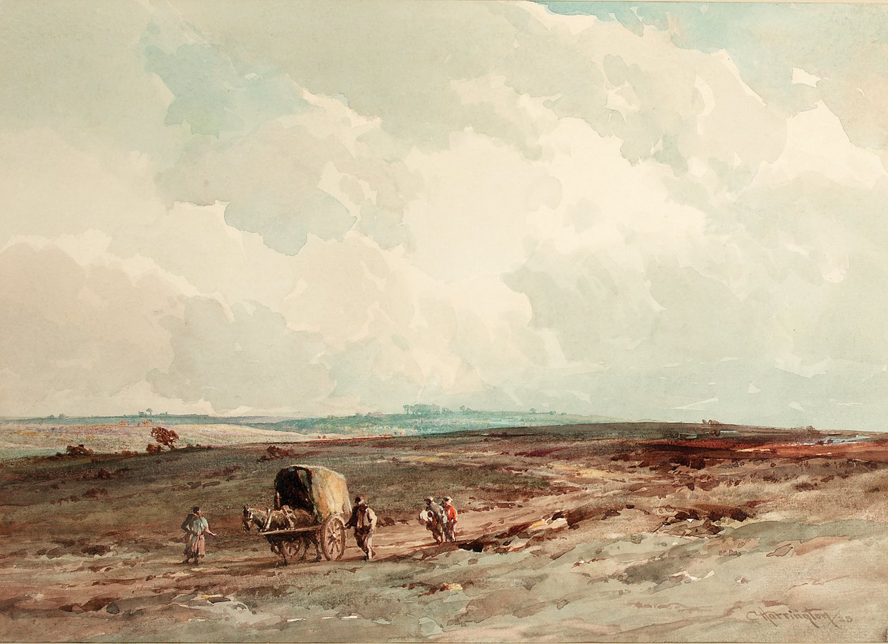 Rezerwat Las Ashdown, 1925 autorstwa Charles Harrington
