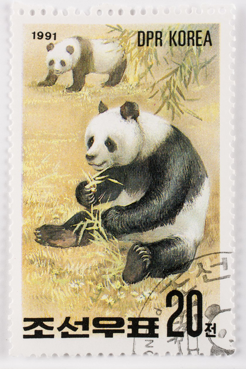 Znaczek/Korea Północna/Ailuropoda melanoleuca/Wielka panda/Wielka Panda autorstwa Augustus Kollner