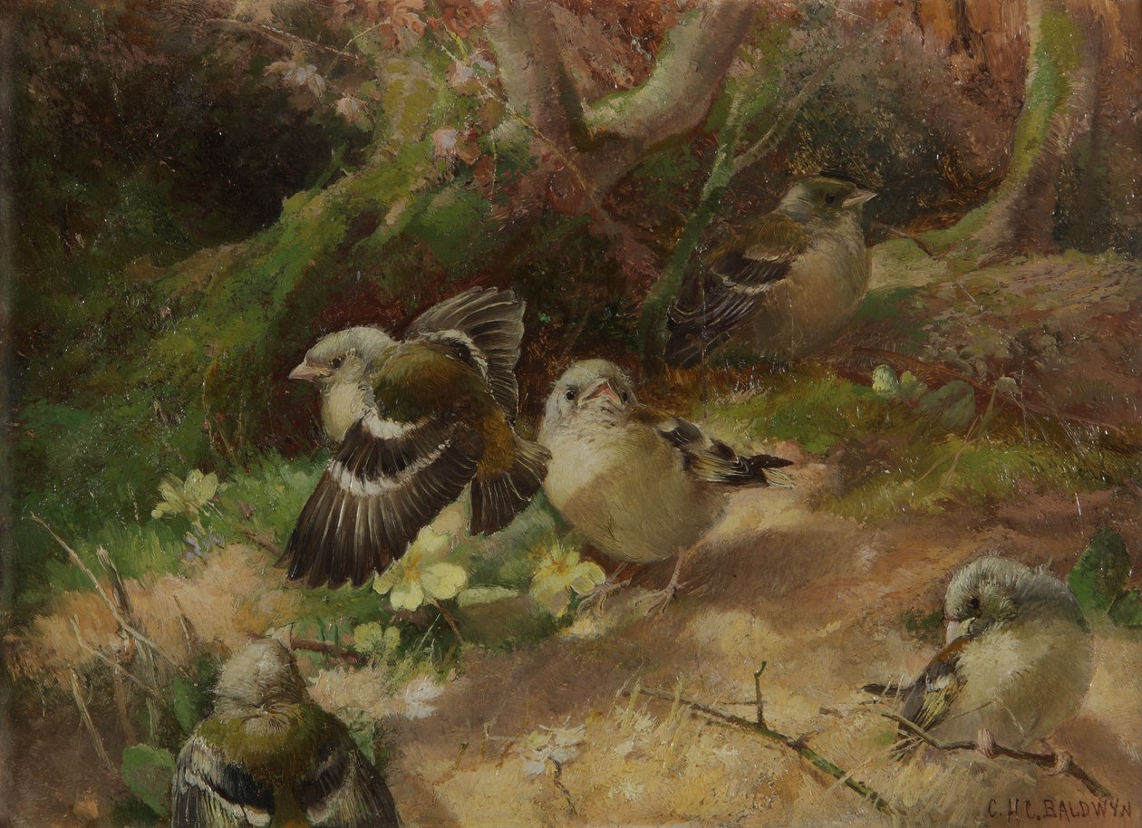W szczęśliwym lesie autorstwa Charles Henry Clifford Baldwyn