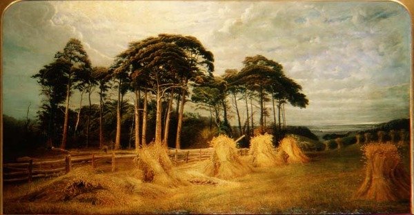 Snopy pszenicy po żniwach autorstwa Charles Henry Passey