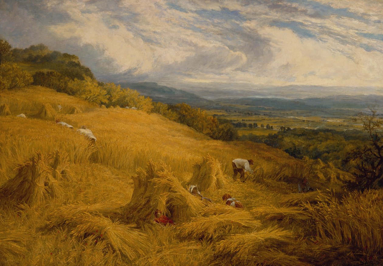 Żniwa (olej na płótnie) autorstwa Charles Henry Passey