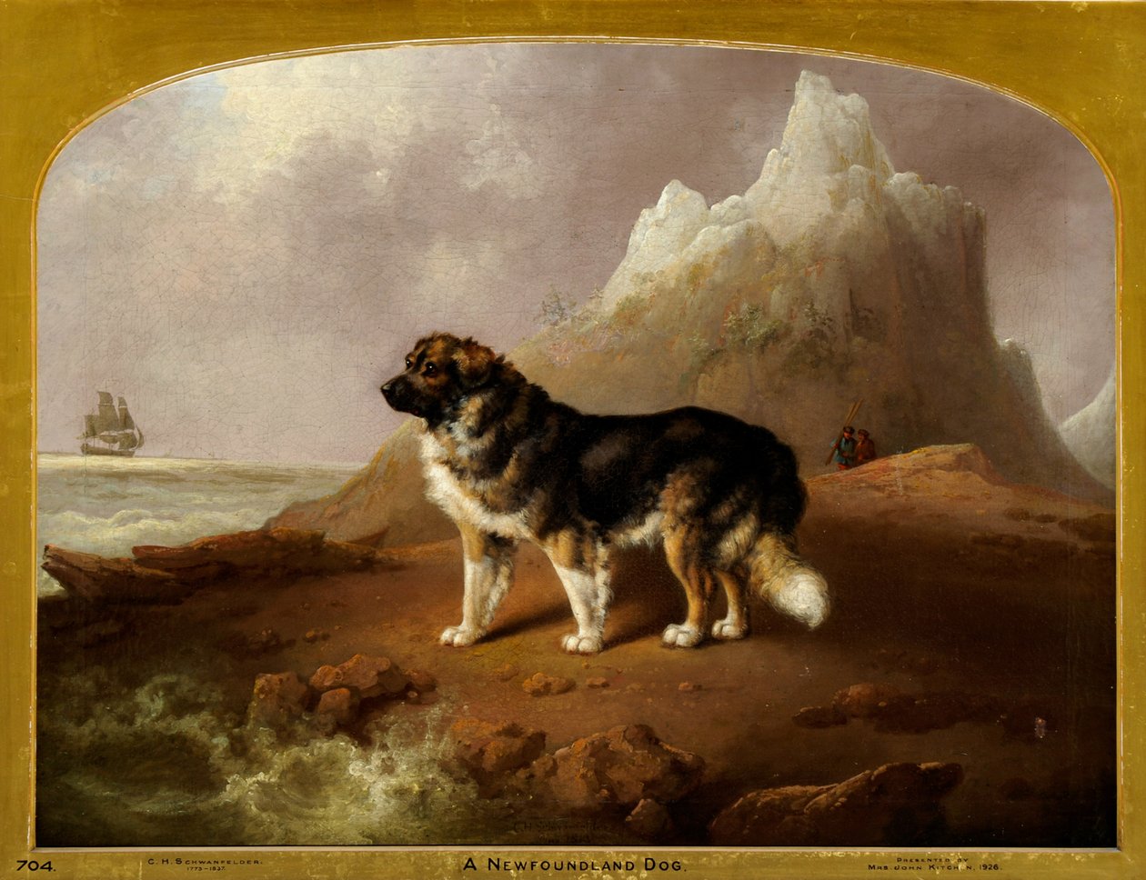 Pies nowofundlandzki autorstwa Charles Henry Schwanfelder