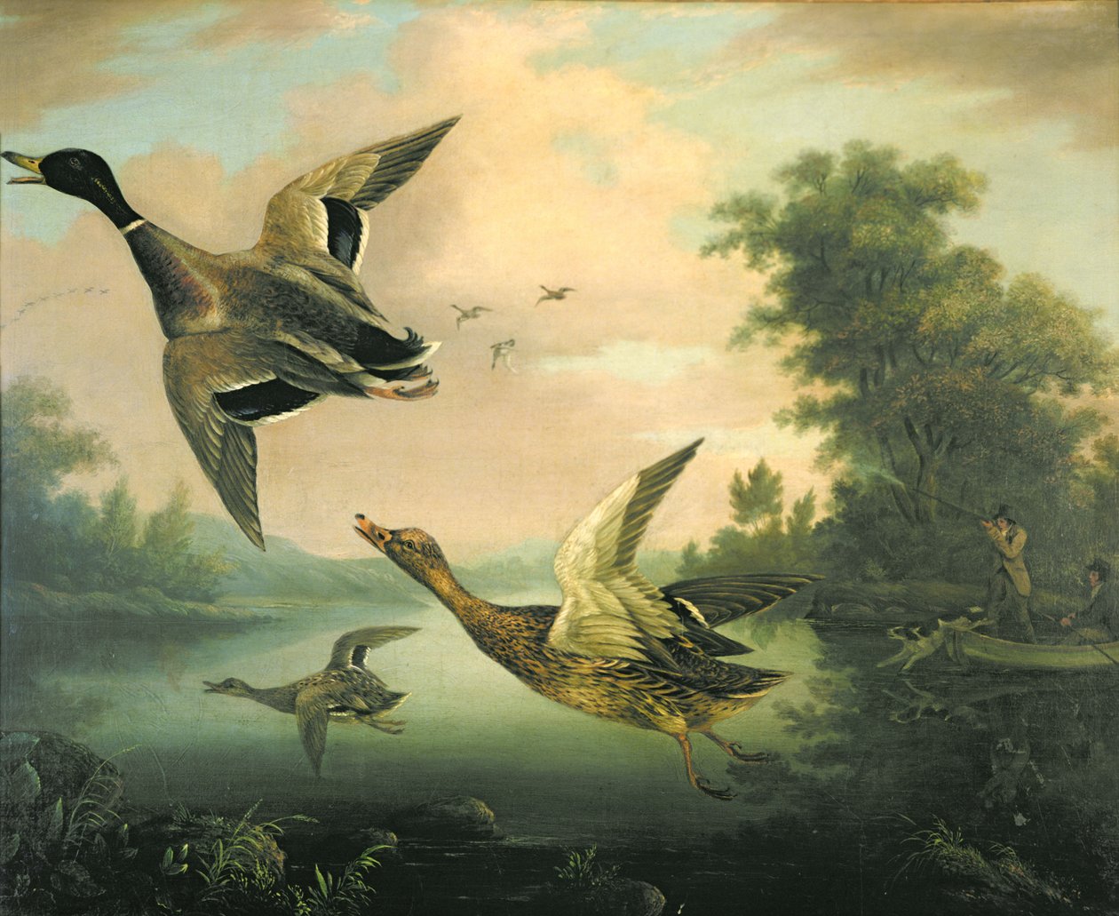Strzelanie do kaczek autorstwa Charles Henry Schwanfelder