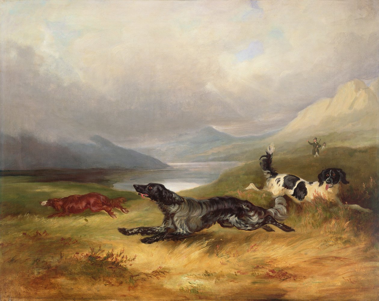 Na tropie autorstwa Charles Henry Schwanfelder