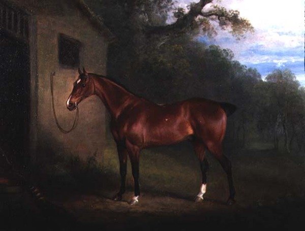 Portret myśliwego na uwięzi w stajni autorstwa Charles Henry Schwanfelder