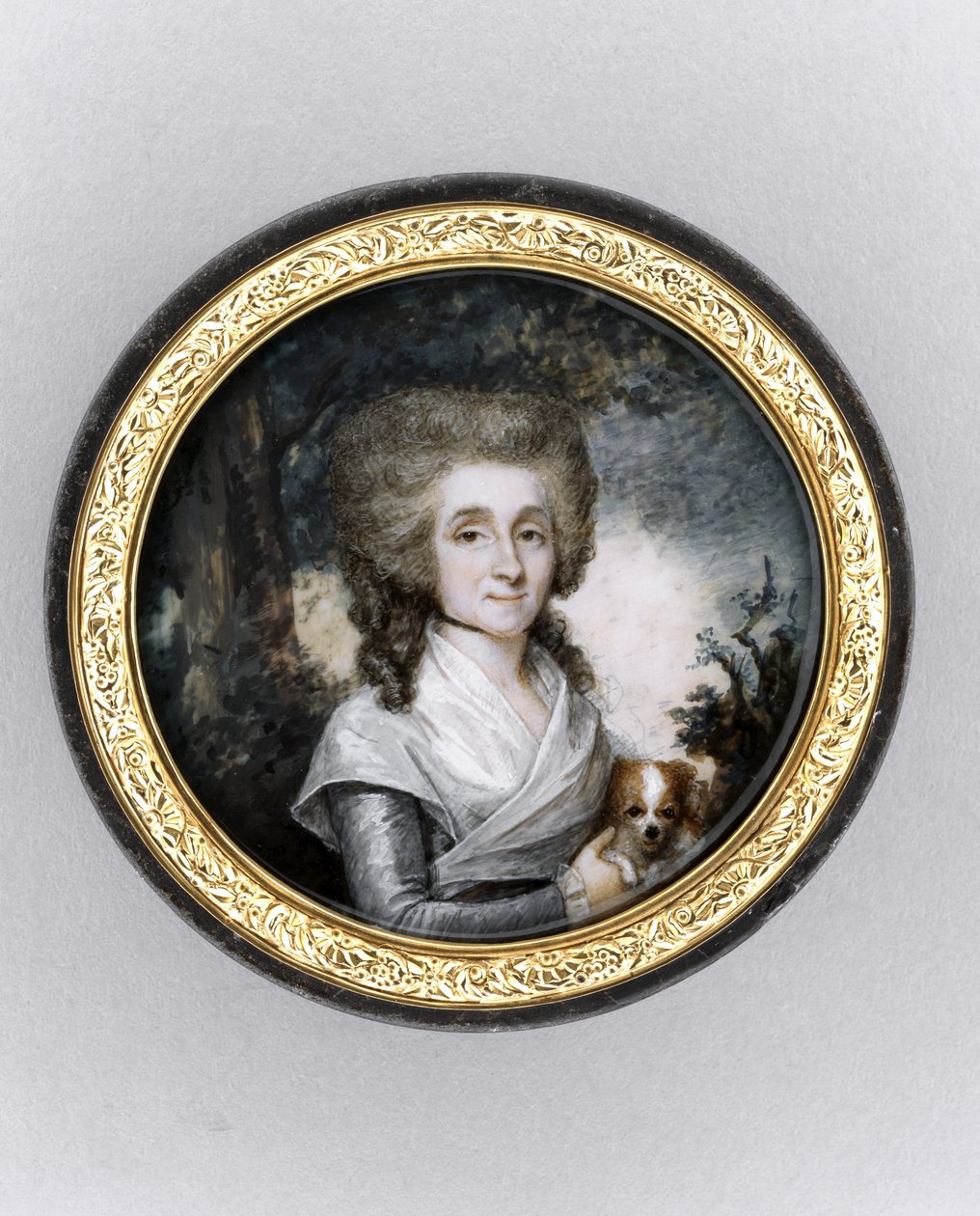 Pudełko z portretem kobiety, ok. 1785 (akwarela na kości słoniowej, złoconych, szylkretach i szkle) autorstwa Charles Hénard