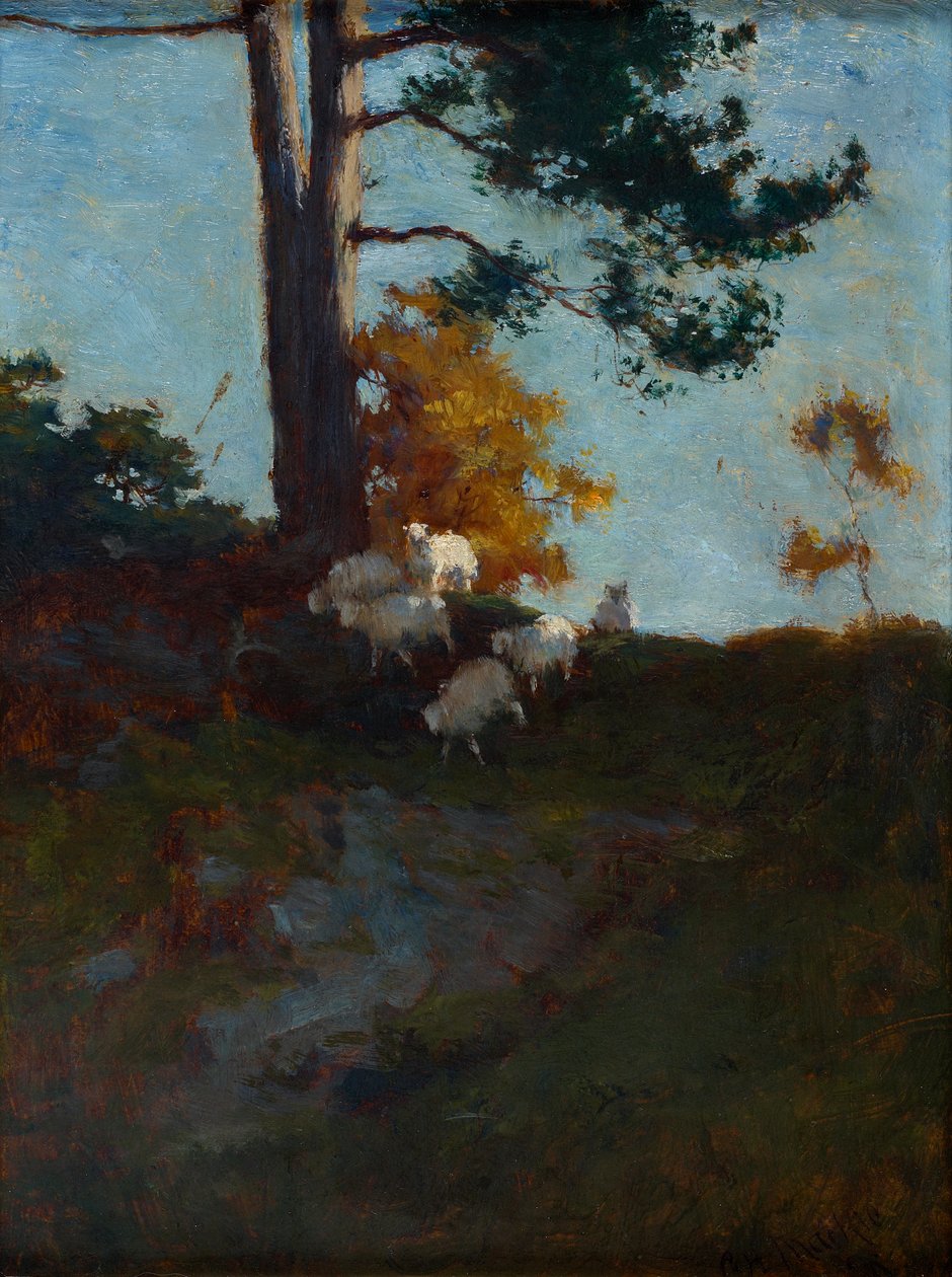 Wzgórze z owcami autorstwa Charles Hodge Mackie
