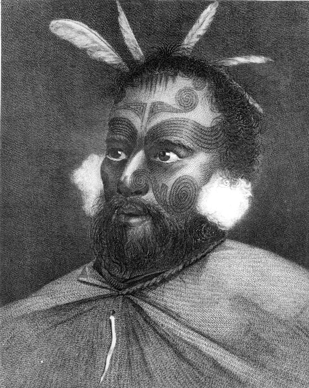 Portret mężczyzny z Nowej Zelandii, ilustracja z „Podróży dookoła świata na biegun południowy”, kapitana Jamesa Cooka (1728-79) autorstwa Charles Howard Hodges