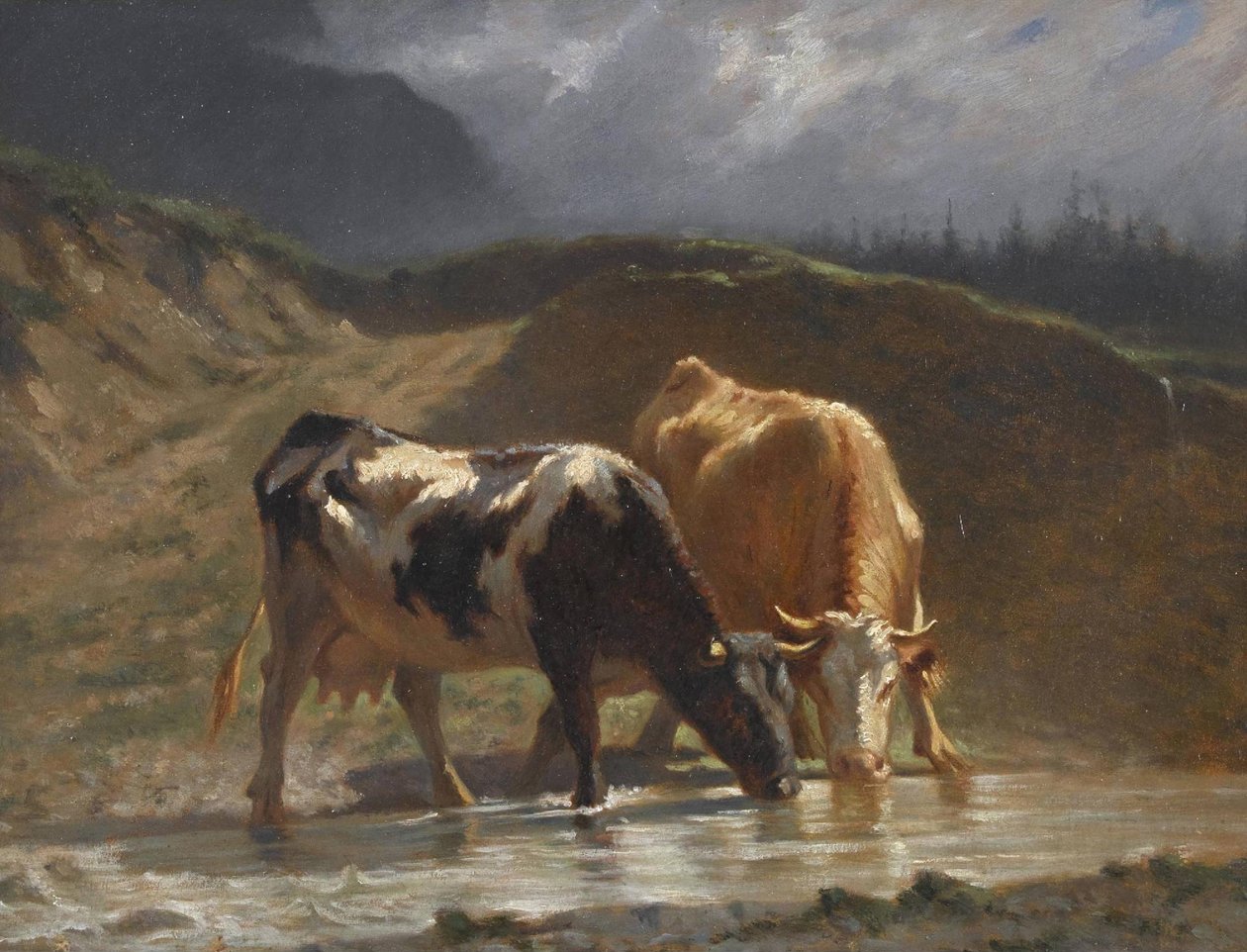 Krowy przy wodopoju autorstwa Charles Humbert