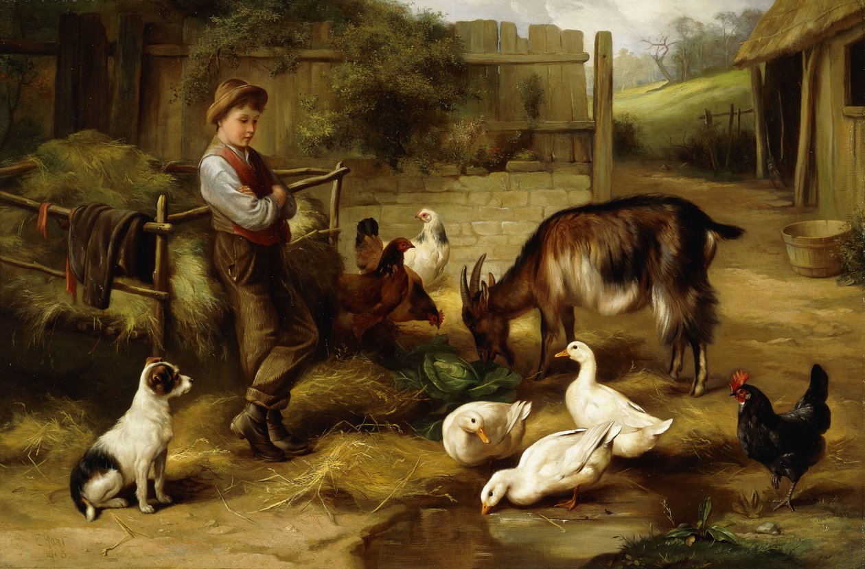 Chłopiec z drobiem i kozą na obejściu, 1903 autorstwa Charles Hunt