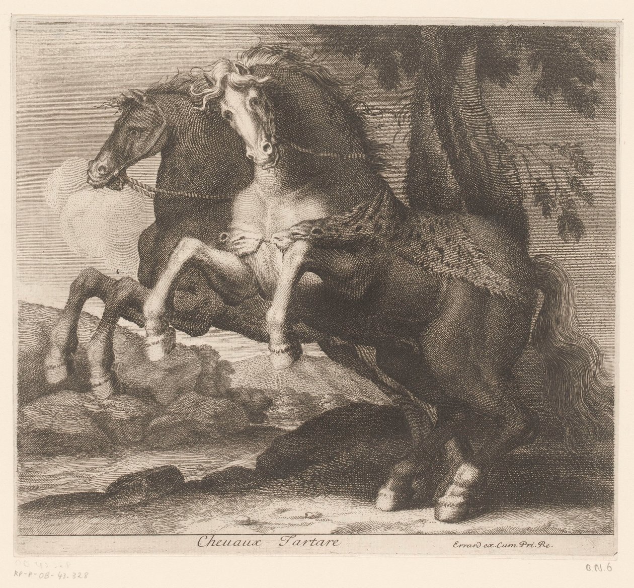 hodowanie koni Chevaux Tatare (tytuł na obiekcie) Seria zwierzęca (tytuł serii) autorstwa Charles II Errard (attributed to)