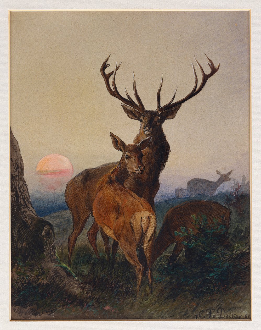 Jeleń z jeleniem w zalesionym krajobrazie o zachodzie słońca, 1865 autorstwa Charles Jones