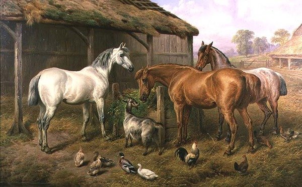 Przyjaciele z farmy autorstwa Charles Jones