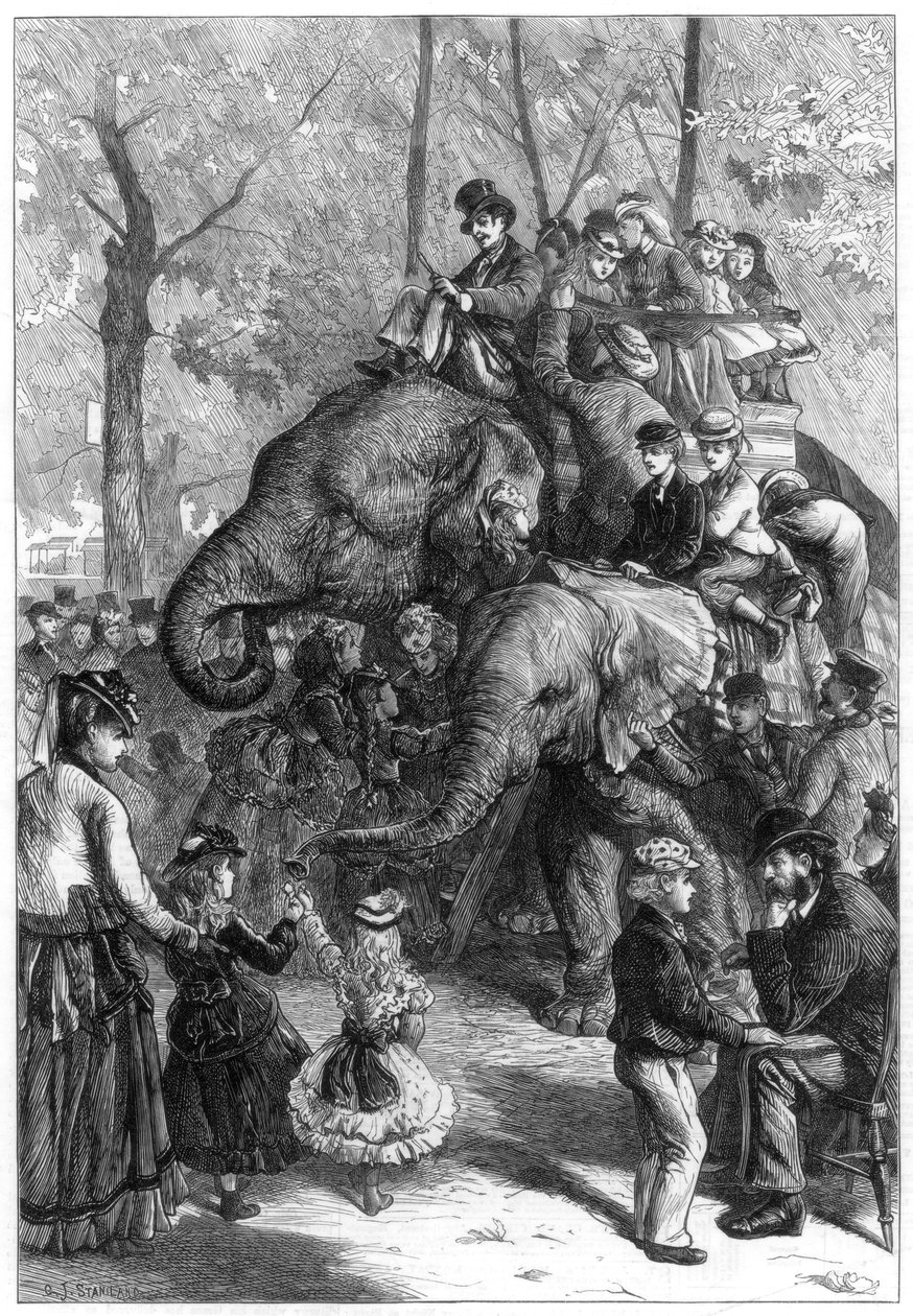 Poniedziałkowe popołudnie w ogrodach towarzystwa zoologicznego, 1871. autorstwa Charles Joseph Staniland