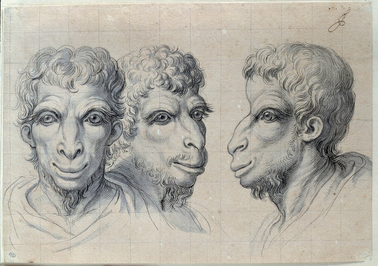 Studia trzech głów mężczyzn przywołujące fizjonomię wielbłąda Rysunek Charlesa Lebruna (Le Brun) (1619-1690) XVII wiek. Ciemny. 0,22x0,32m. Paryż, Luwr autorstwa Charles Le Brun