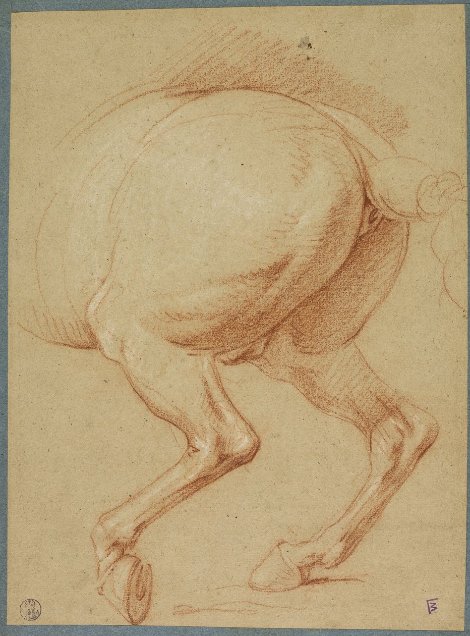 Tylne nogi konia autorstwa Charles Le Brun