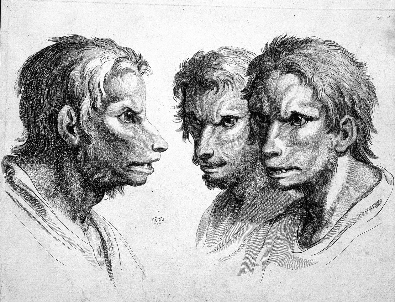 Trzy twarze wilkołaka (wilkołaka) - autorstwa Le brun autorstwa Charles Le Brun