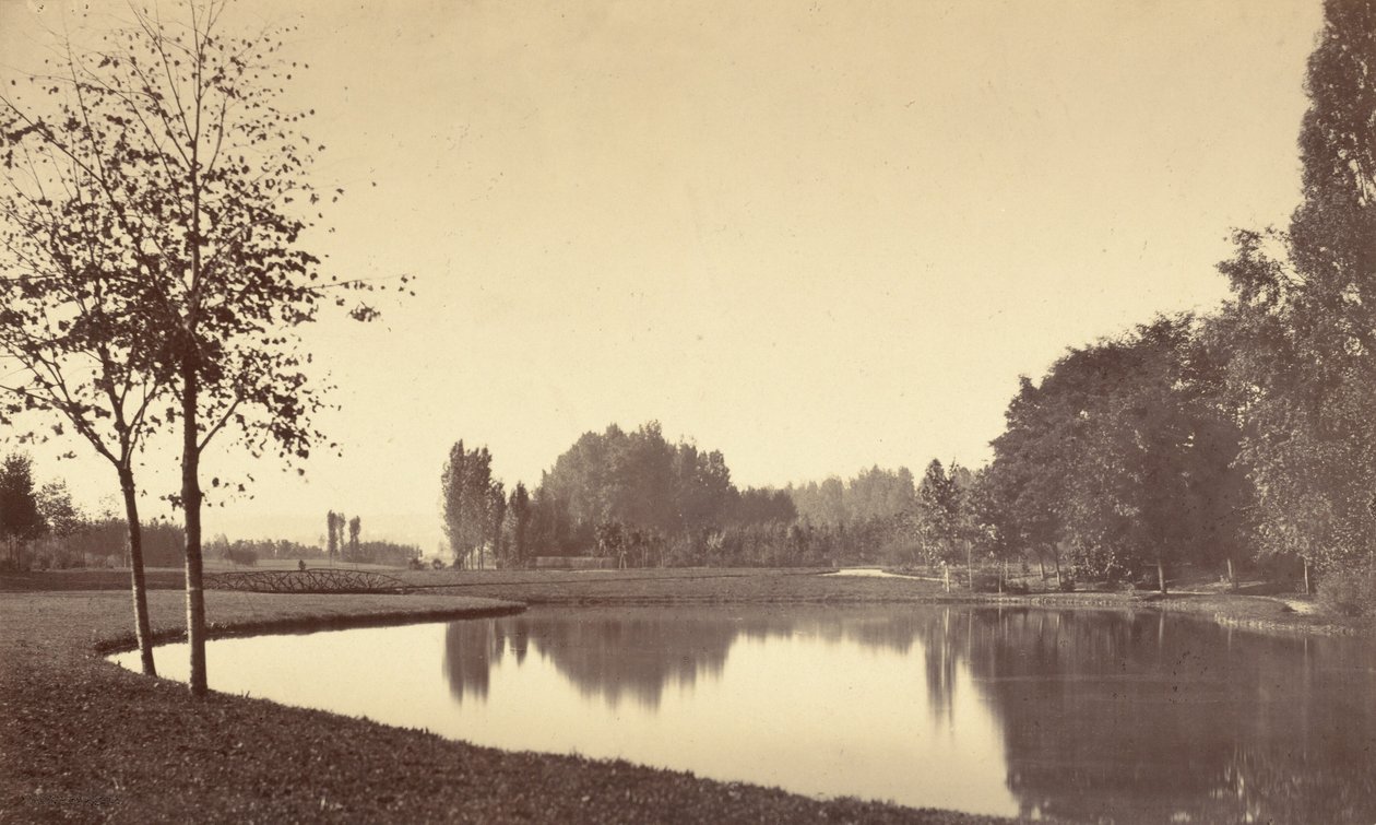 Bois de Boulogne, 1858 r. (zdjęcie) autorstwa Charles Marville