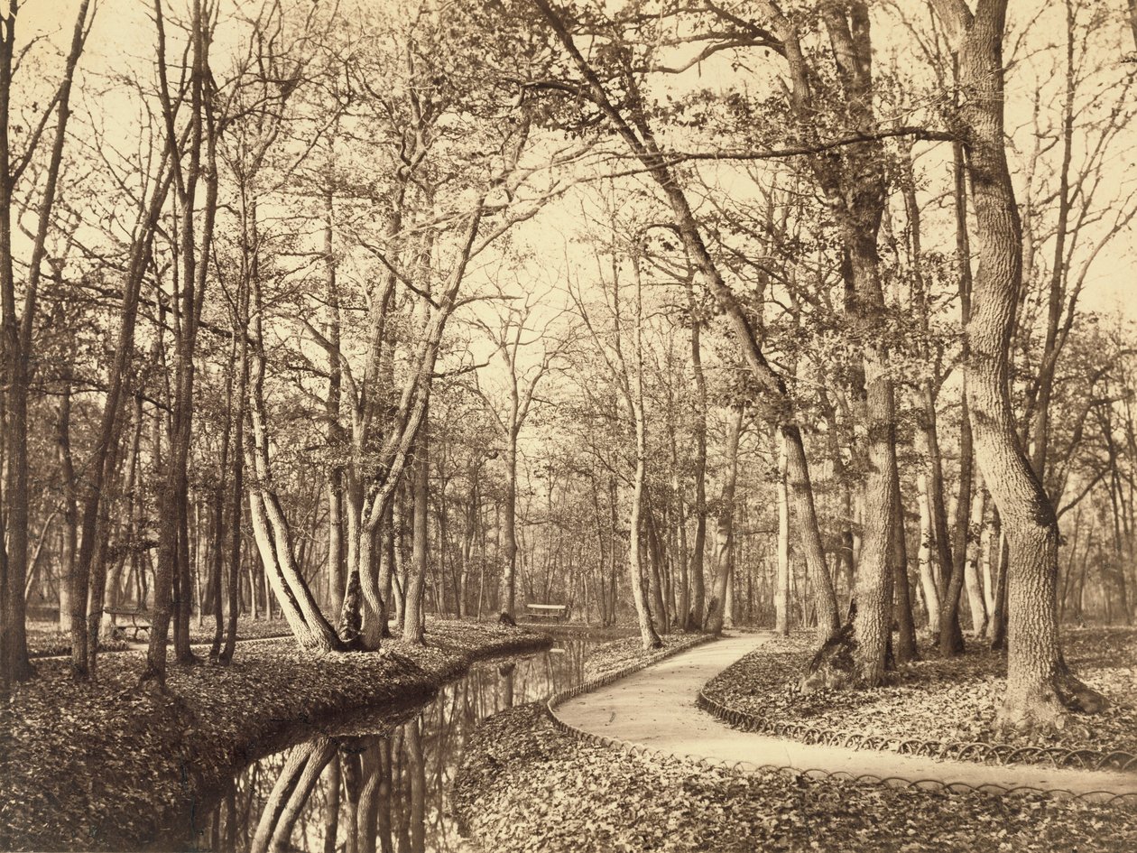 Lasek Buloński, Paryż autorstwa Charles Marville