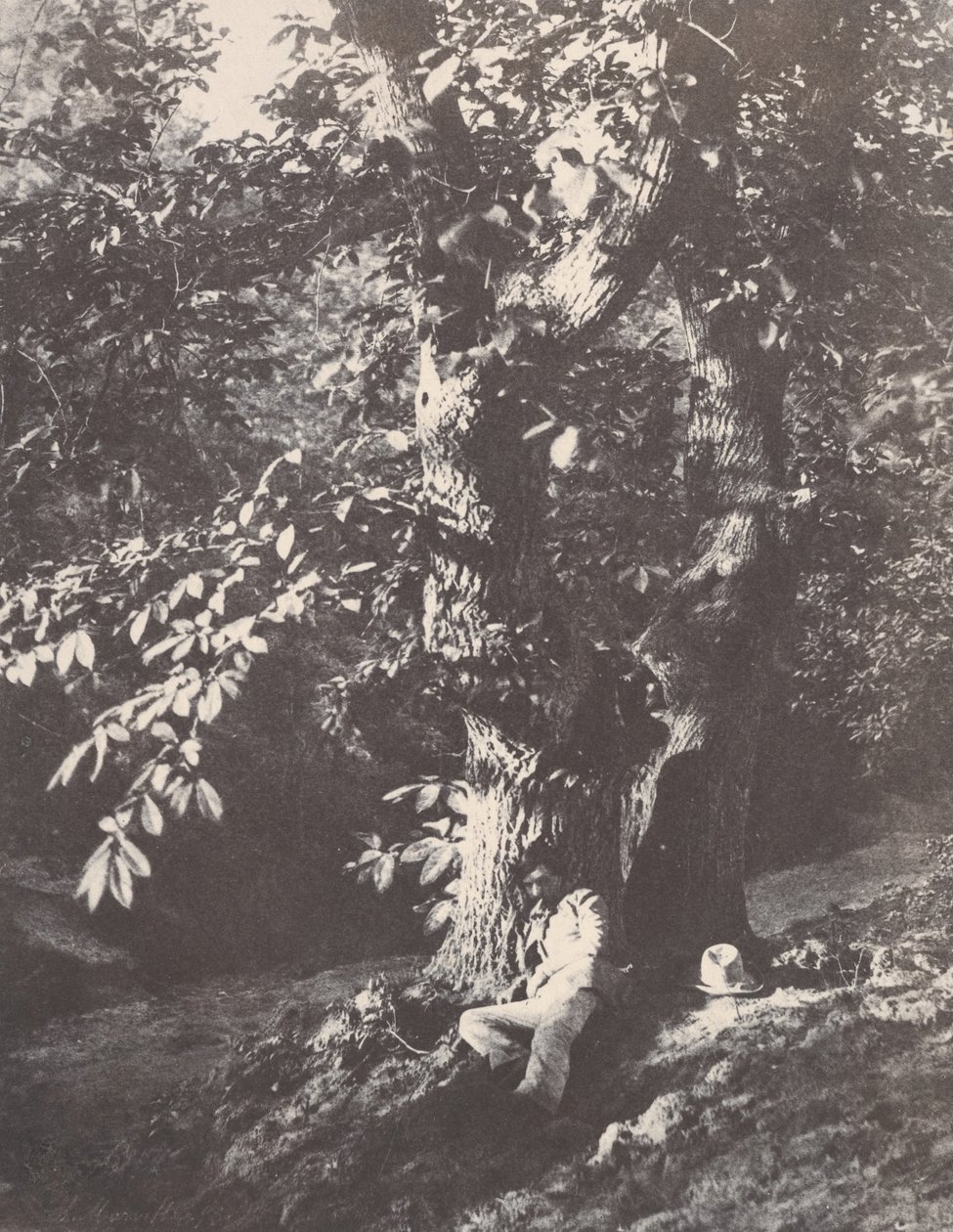 Mężczyzna leżący u stóp kasztanowca, 1850-53. autorstwa Charles Marville