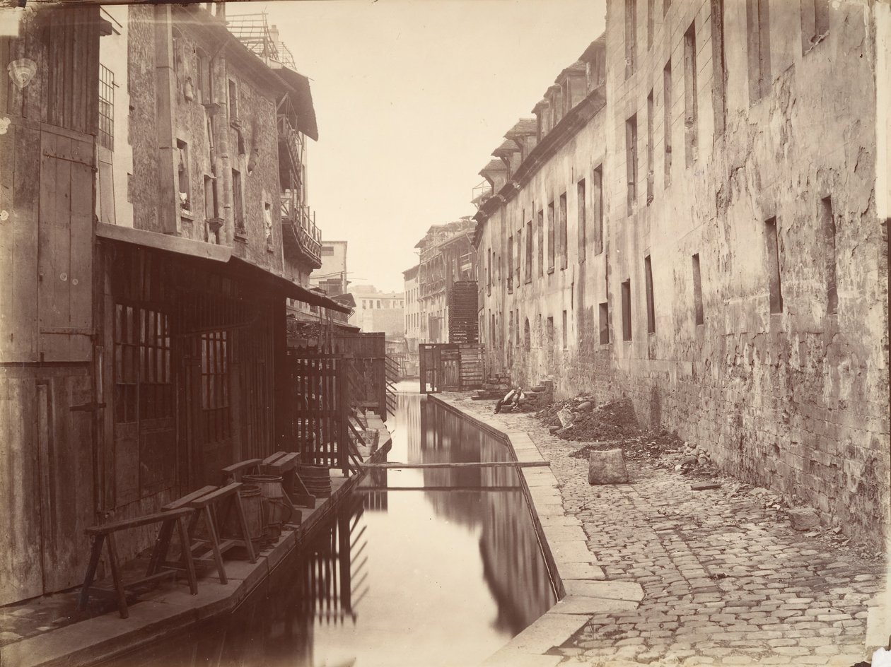 La Bievre, ca. 1865. autorstwa Charles Marville