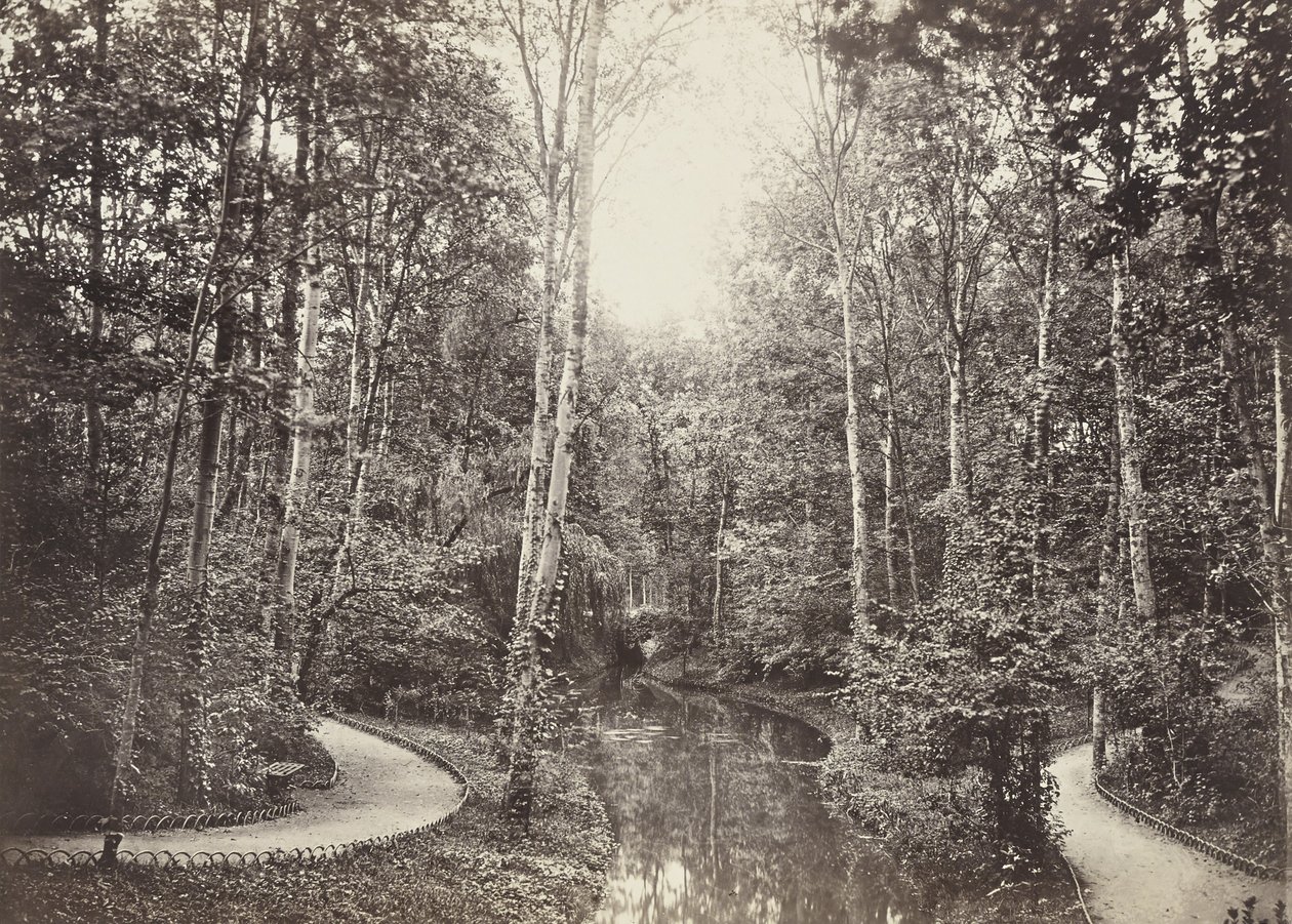 Staw Łani, Lasek Buloński autorstwa Charles Marville