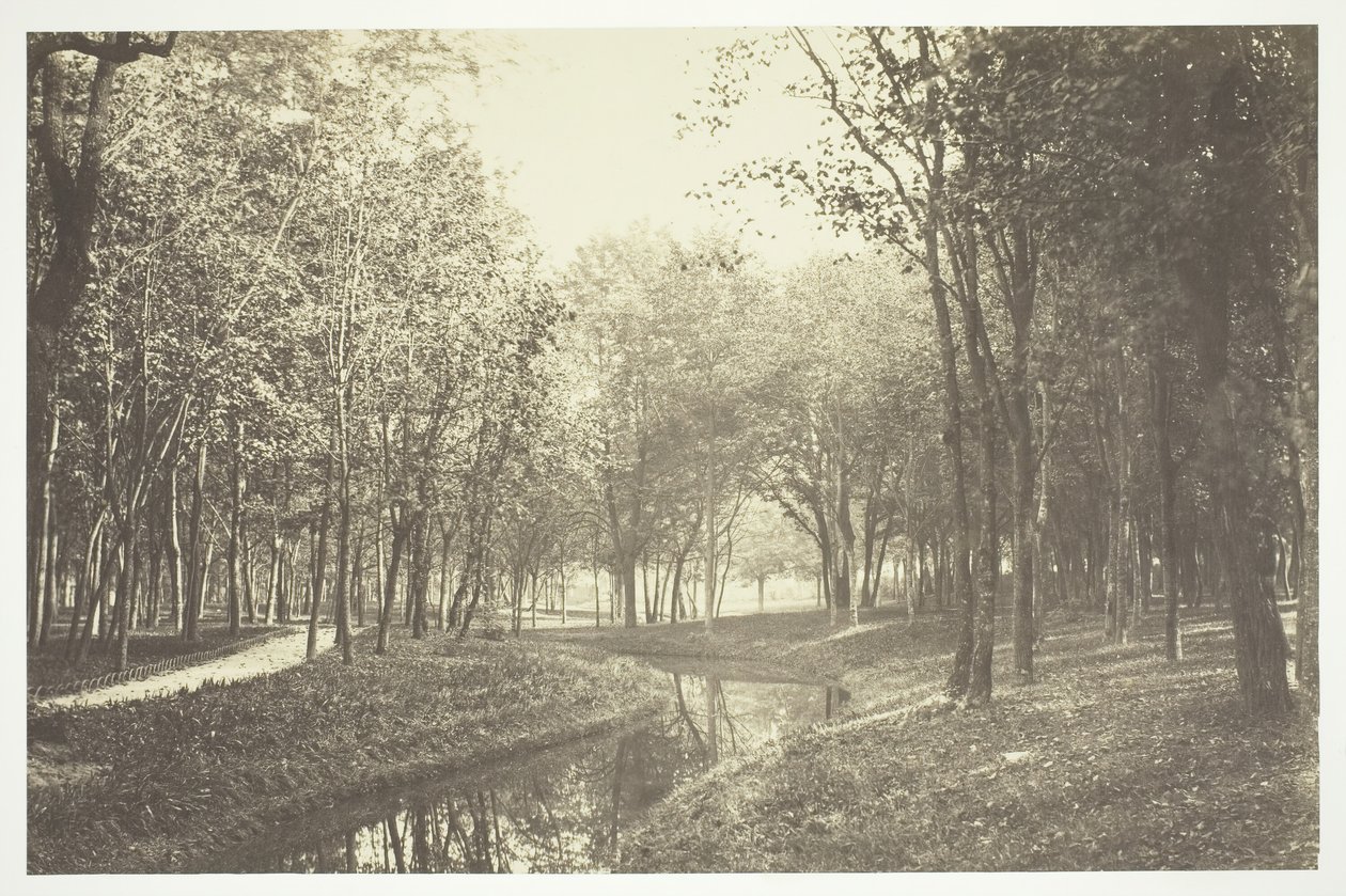 Bez tytułu, ok. 1850. [Drzewa nad wodą w Bois de Boulogne, park w Paryżu]. autorstwa Charles Marville