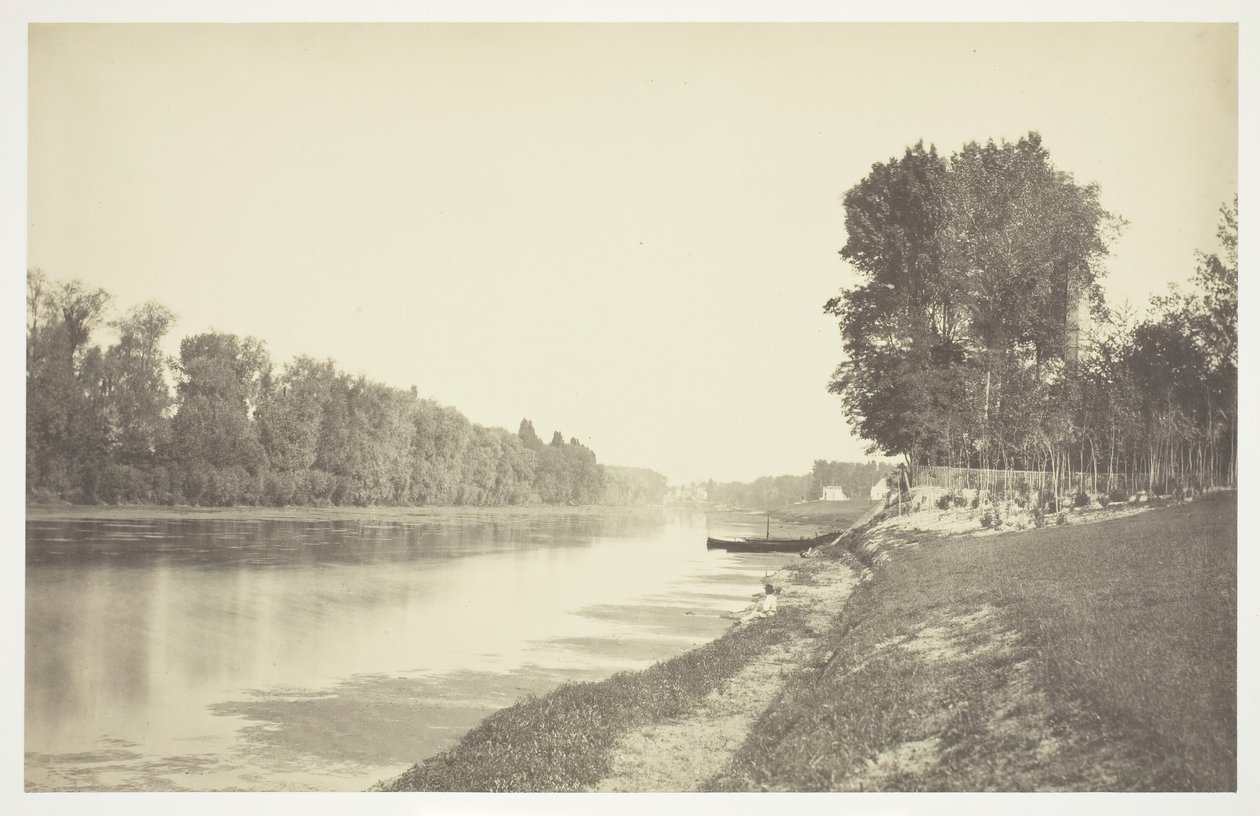 Bez tytułu, ok. 1850. [Drzewa nad wodą w Bois de Boulogne, park w Paryżu]. autorstwa Charles Marville