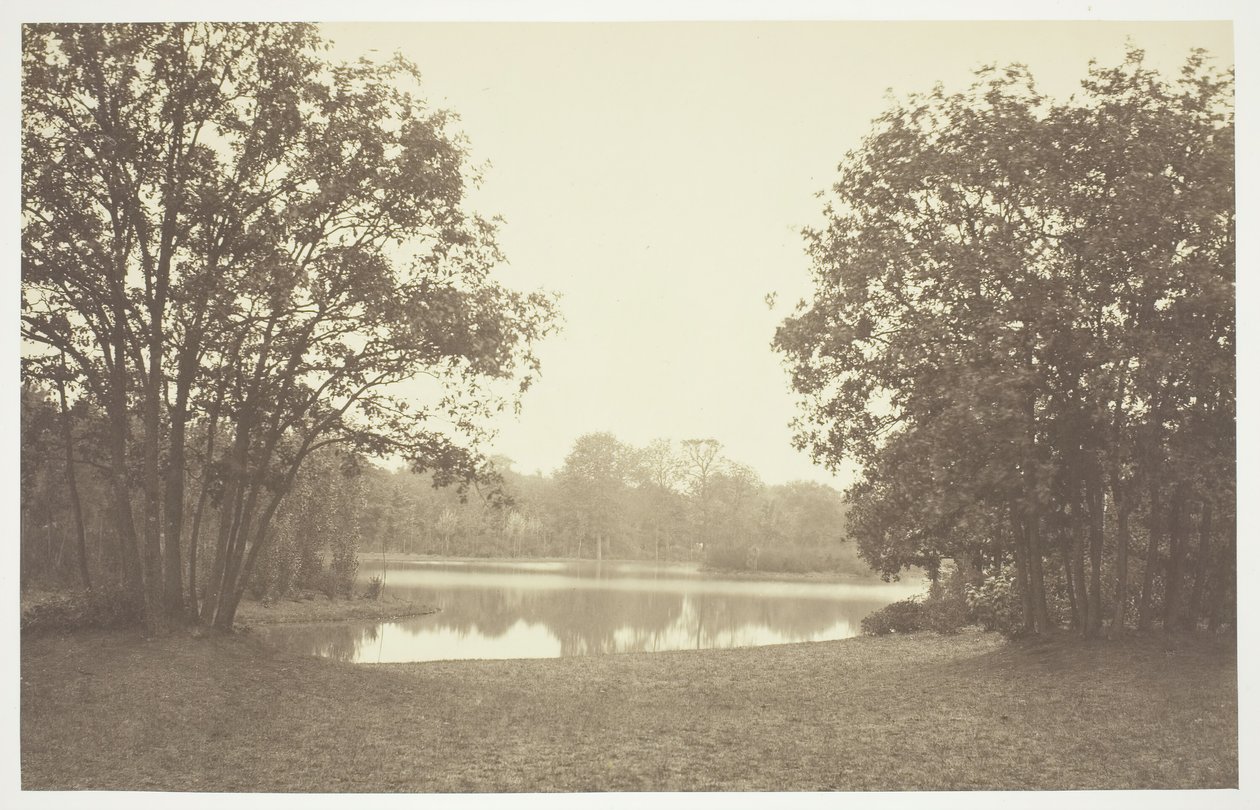 Bez tytułu, ok. 1850. [Drzewa nad wodą w Bois de Boulogne, park w Paryżu]. autorstwa Charles Marville