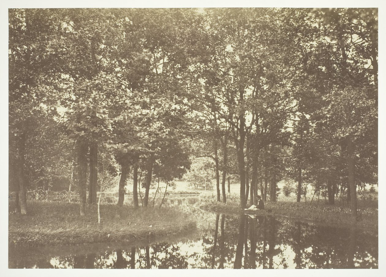 Bez tytułu, ok. 1850. [Drzewa nad wodą w Bois de Boulogne, park w Paryżu]. autorstwa Charles Marville