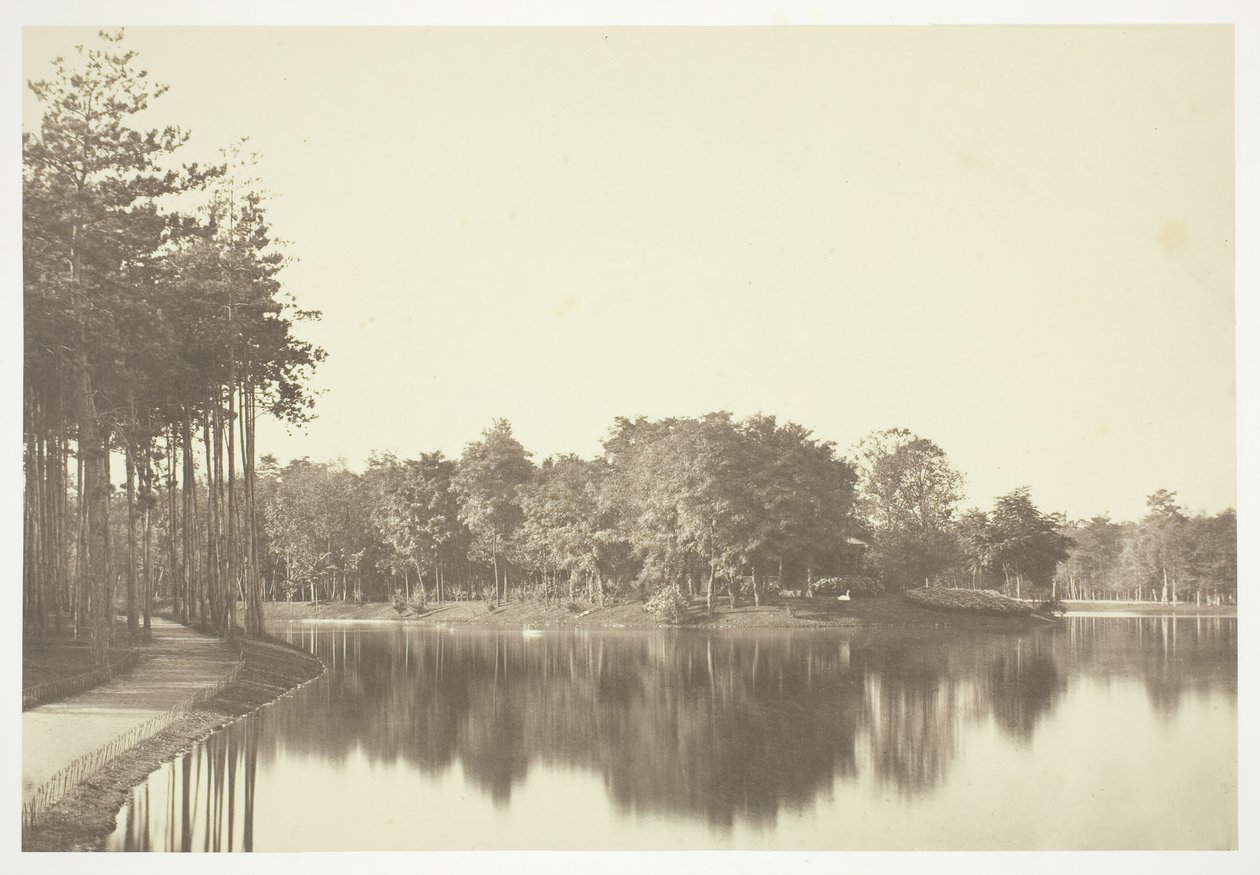 Bez tytułu, ok. 1850. [Drzewa nad wodą w Bois de Boulogne, park w Paryżu]. autorstwa Charles Marville