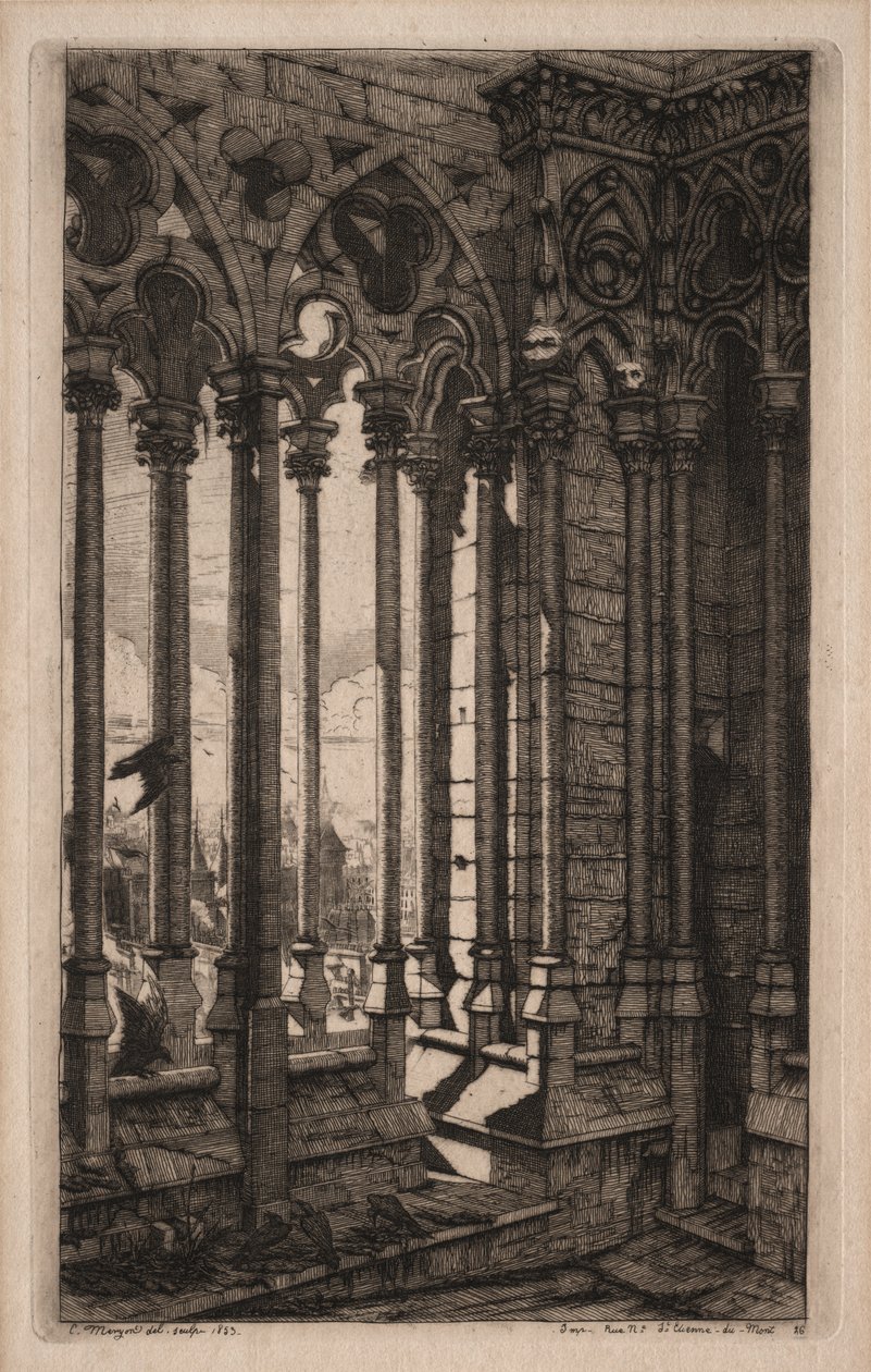 Akwaforty Paryża: Galeria Notre Dame autorstwa Charles Meryon