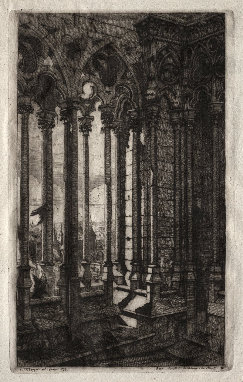 Akwaforty Paryża: Galeria Notre Dame, 1853. autorstwa Charles Meryon