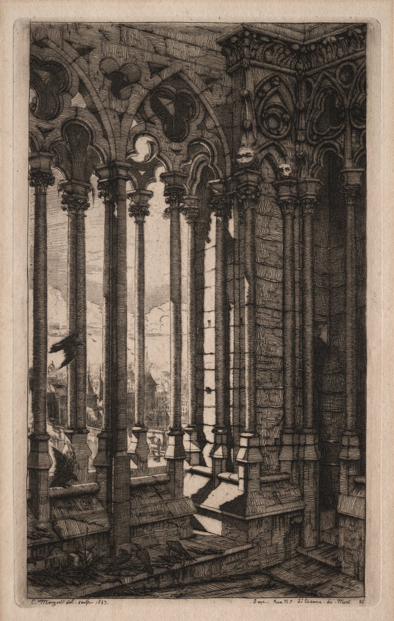 Akwaforty Paryża: Galeria Notre Dame, 1853. autorstwa Charles Meryon