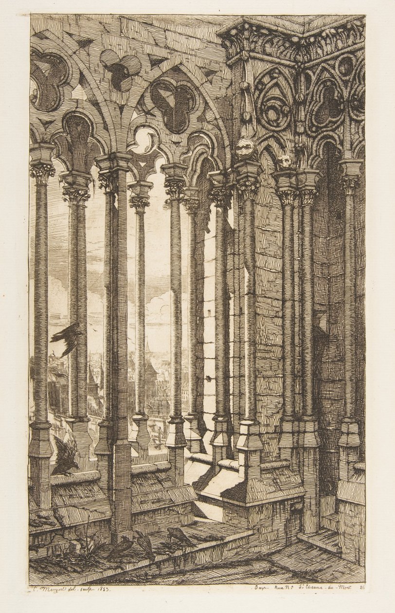 Galeria, katedra Notre-Dame, Paryż autorstwa Charles Meryon