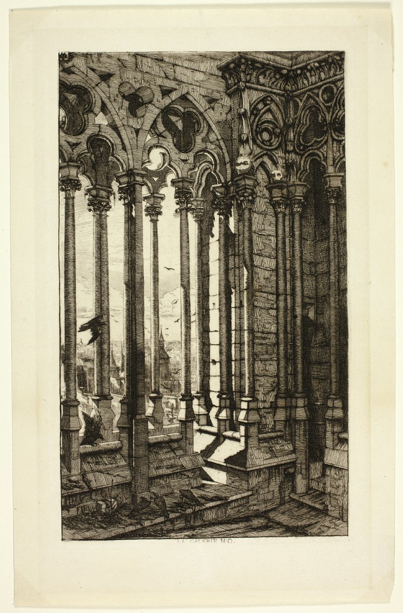 Galeria Notre Dame autorstwa Charles Meryon