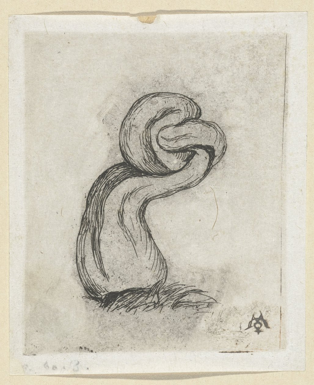 Misvormde paddestoel (Cryptogamae) Kryptogra Malingre autorstwa Charles Meryon