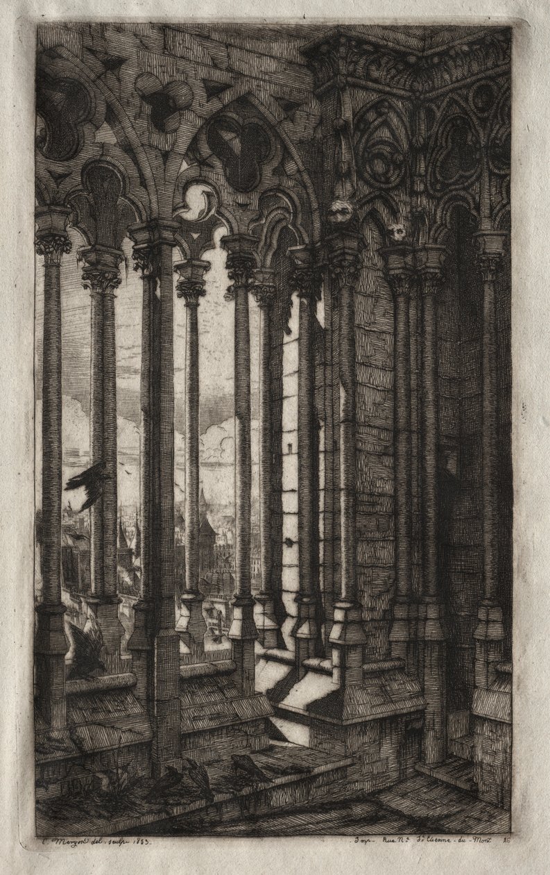 Akwaforty Paryża: Galeria Notre Dame autorstwa Charles Meryon