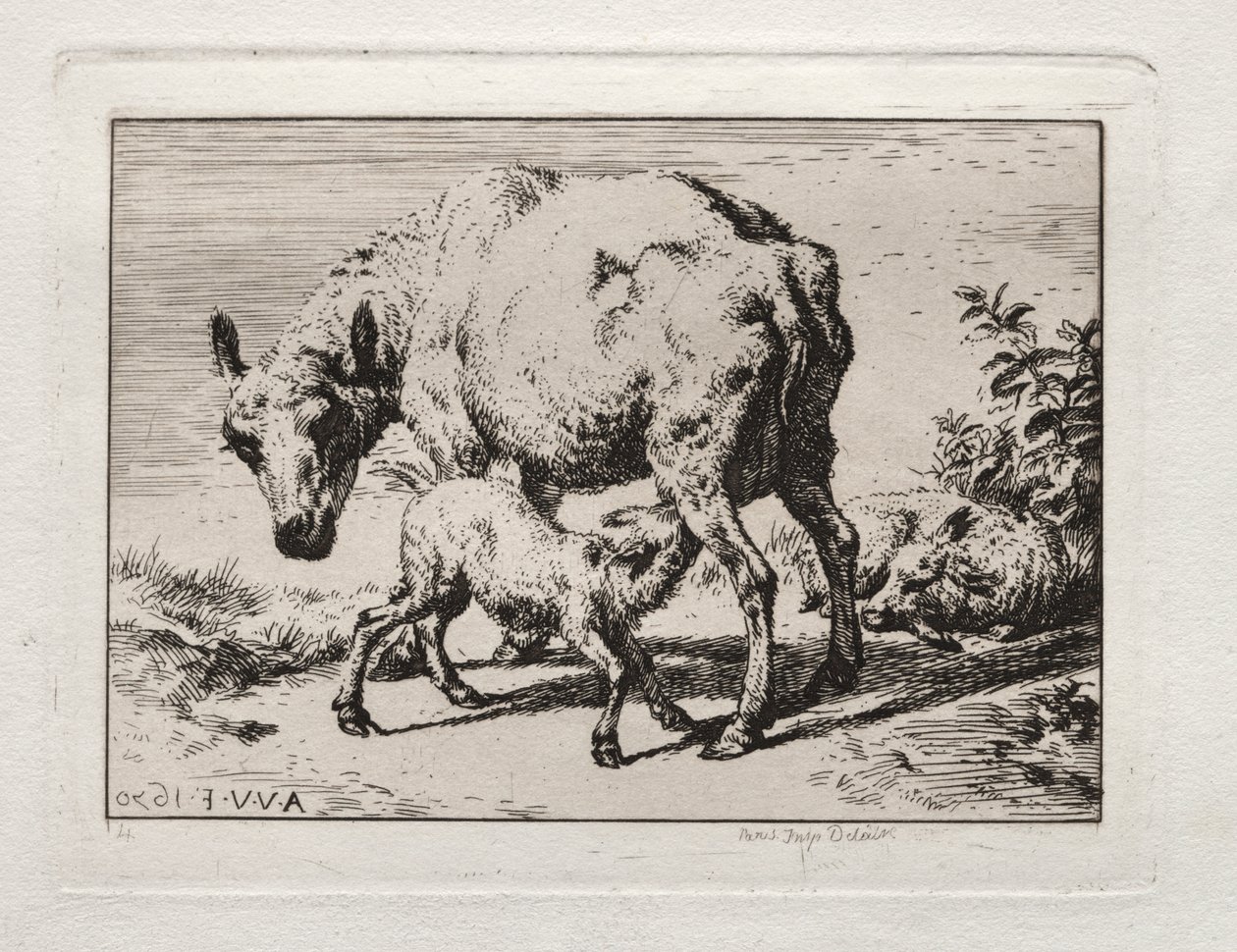Owca z dwoma owcami autorstwa Charles Meryon