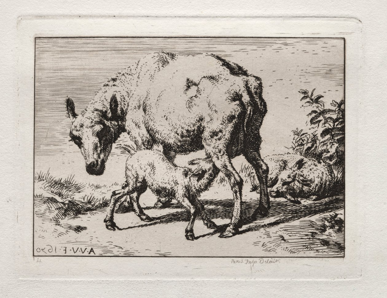 Macocha z dwoma owcami, 1850. autorstwa Charles Meryon