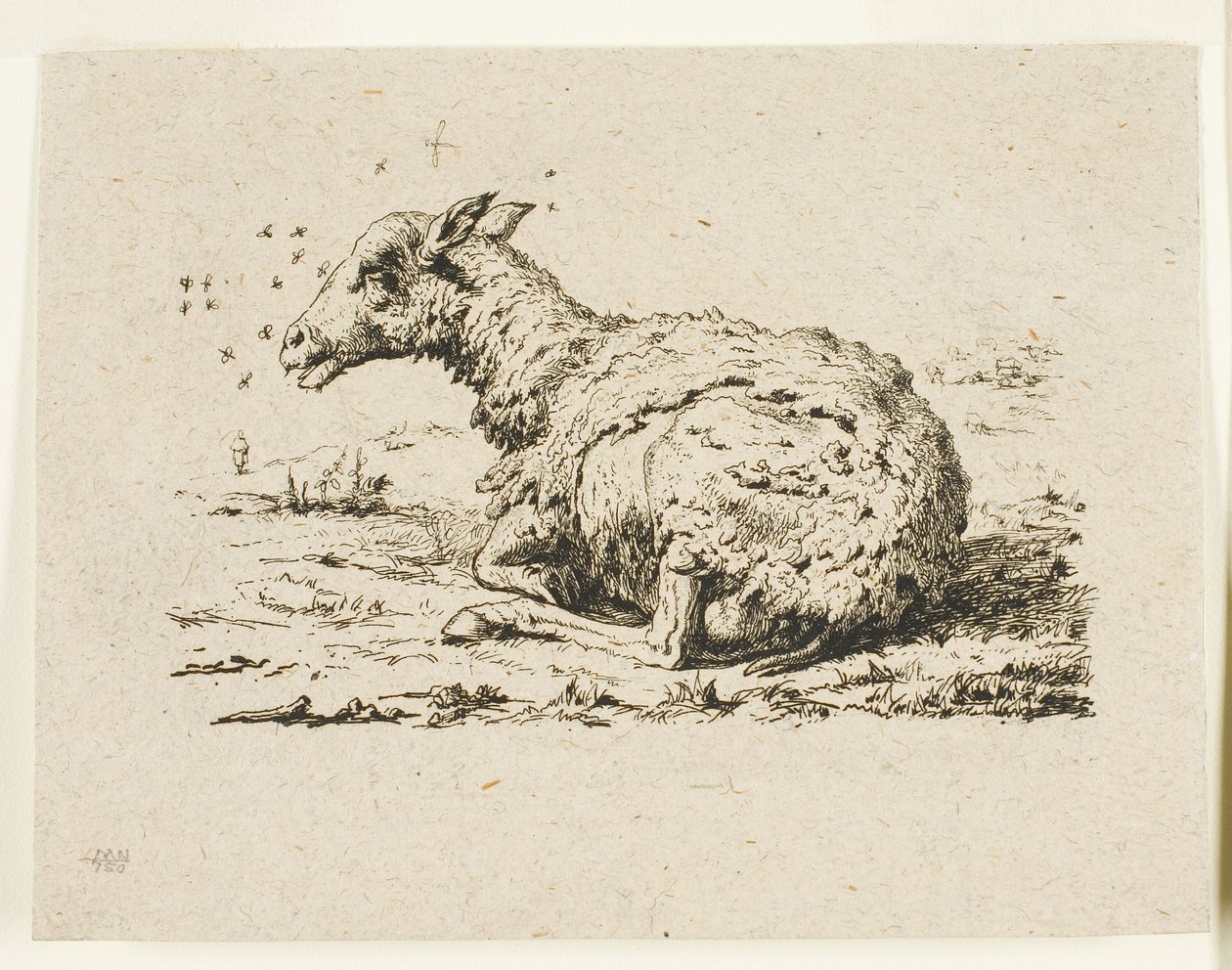 Owce i muchy autorstwa Charles Meryon