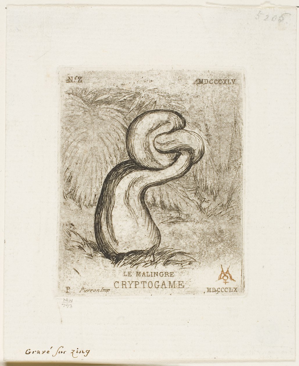 Chory kryptogam autorstwa Charles Meryon