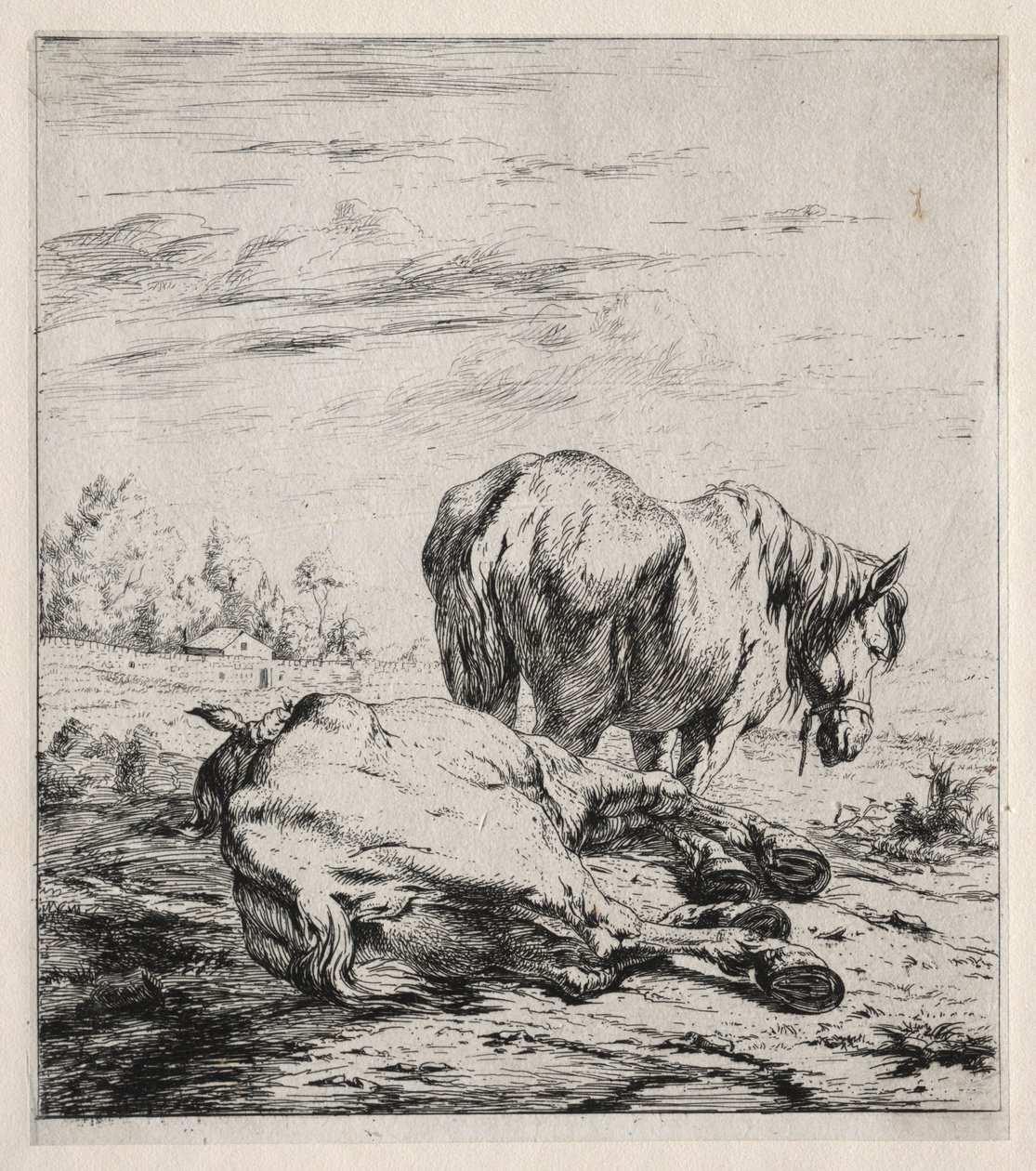 Dwa konie, 1850. autorstwa Charles Meryon