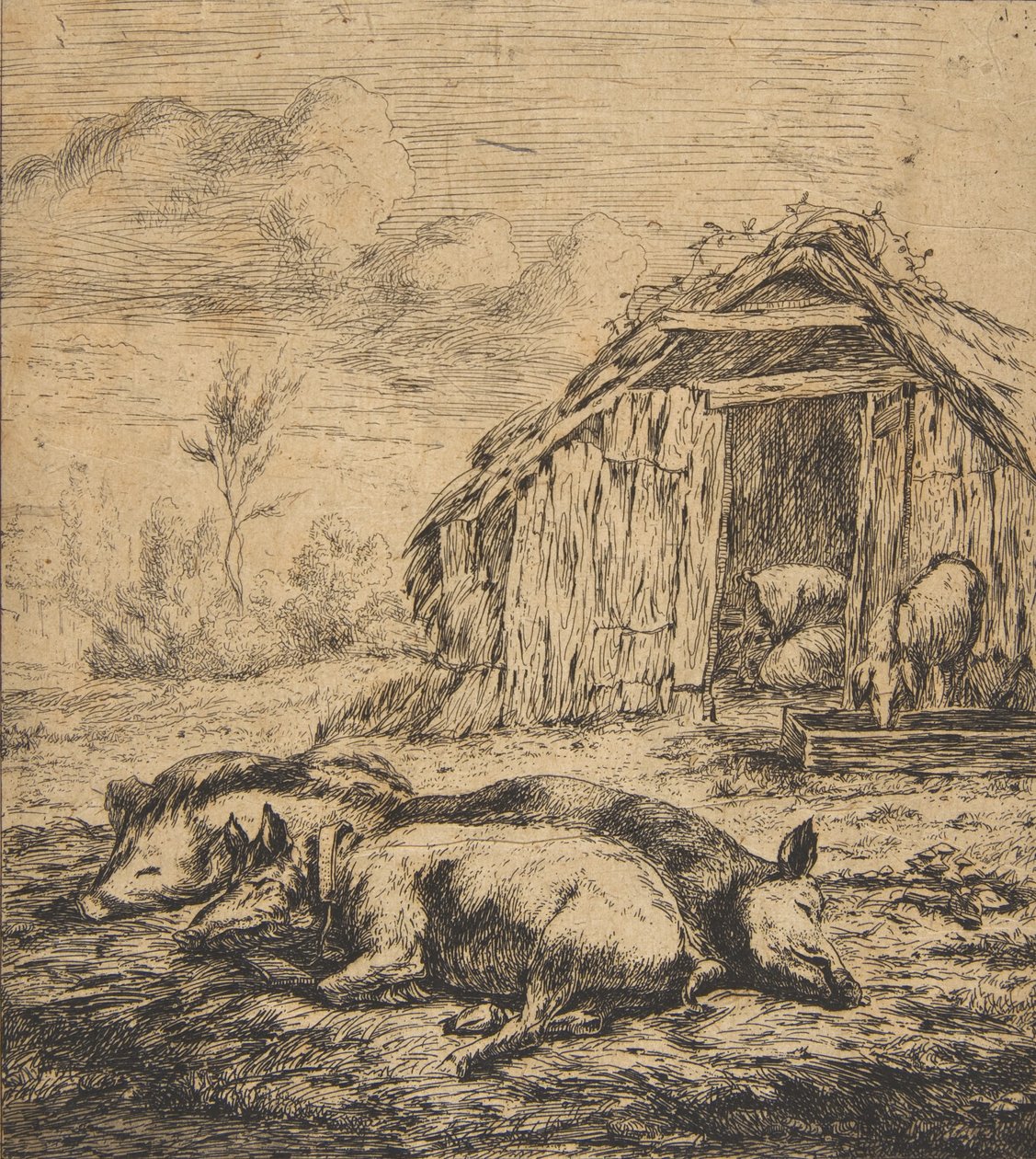 Trzy świnie leżące przed szopą, 1850. autorstwa Charles Meryon