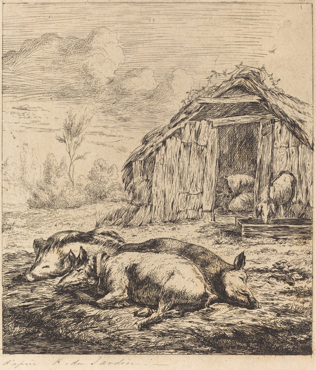 Trzy świnie leżące przed stajnią (trzy świnie leżące przed chlewem) autorstwa Charles Meryon after Karel Dujardin