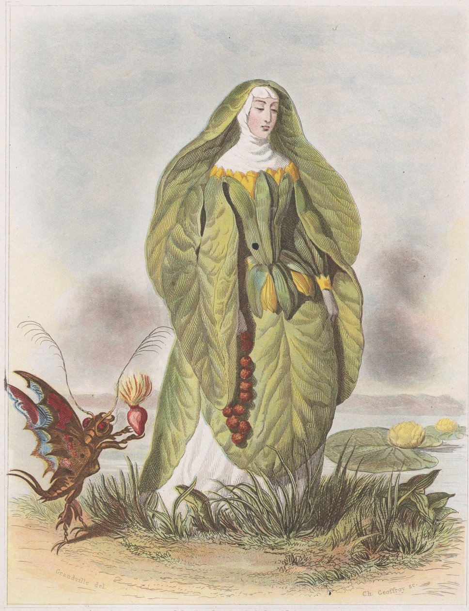 Lilia wodna, z Les Fleurs Animées, 1847. autorstwa Charles Michel Geoffroy